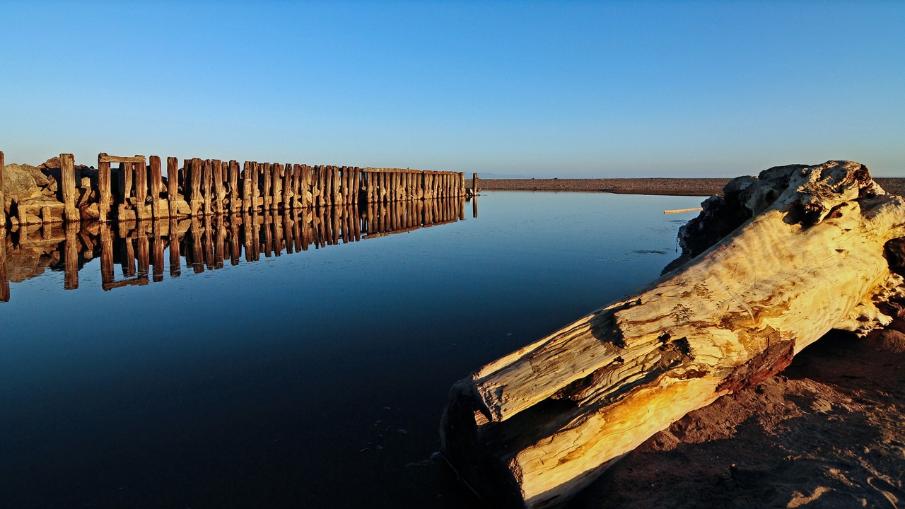 Photo of Others in Rio del Mar