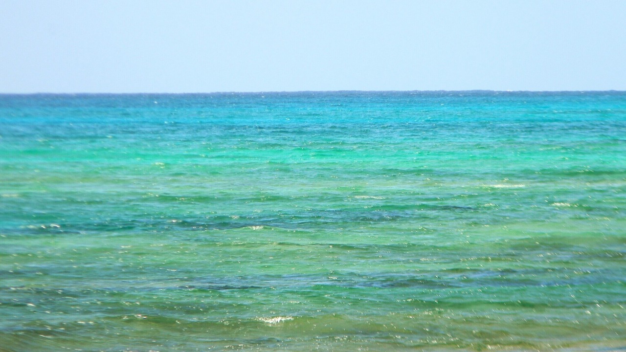 Photo of Others in The Bight