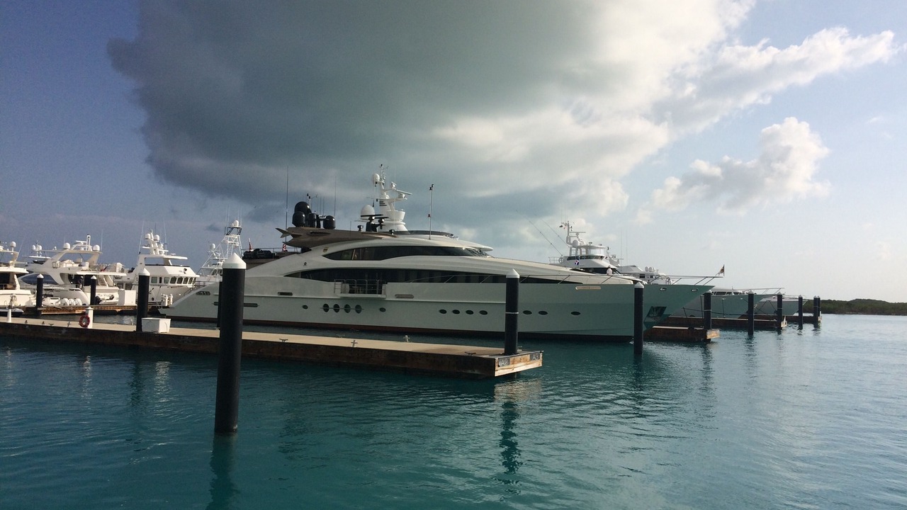Photo of Others in The Bight
