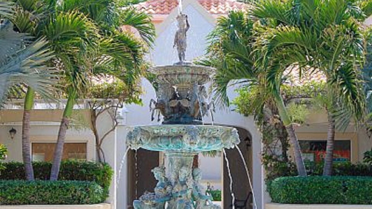 Photo of Others in The Bight