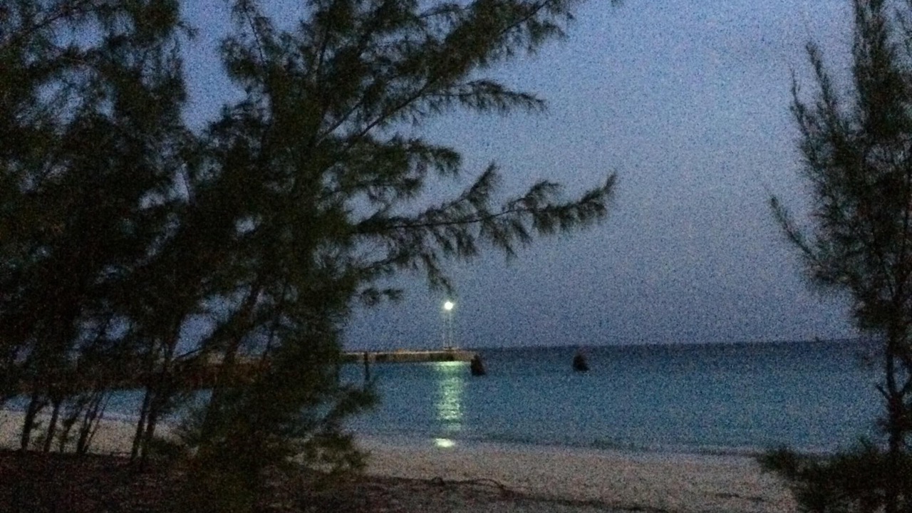Photo of Others in The Bight