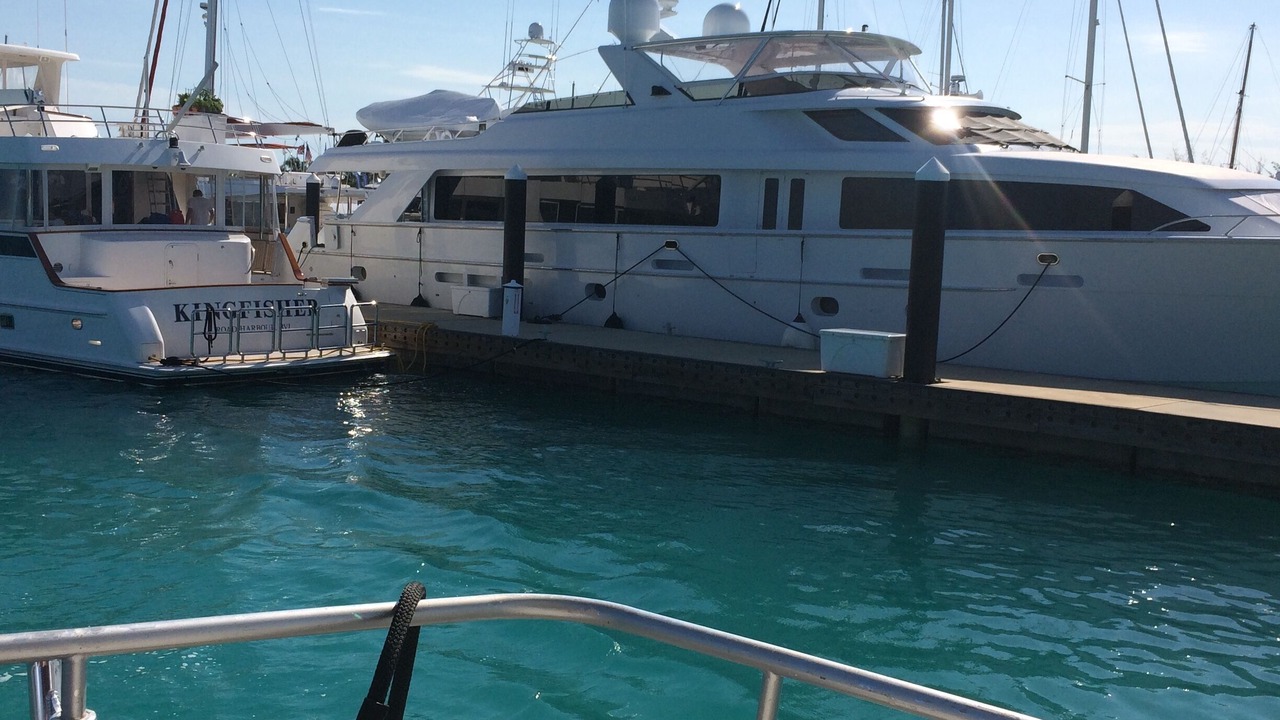 Photo of Others in The Bight