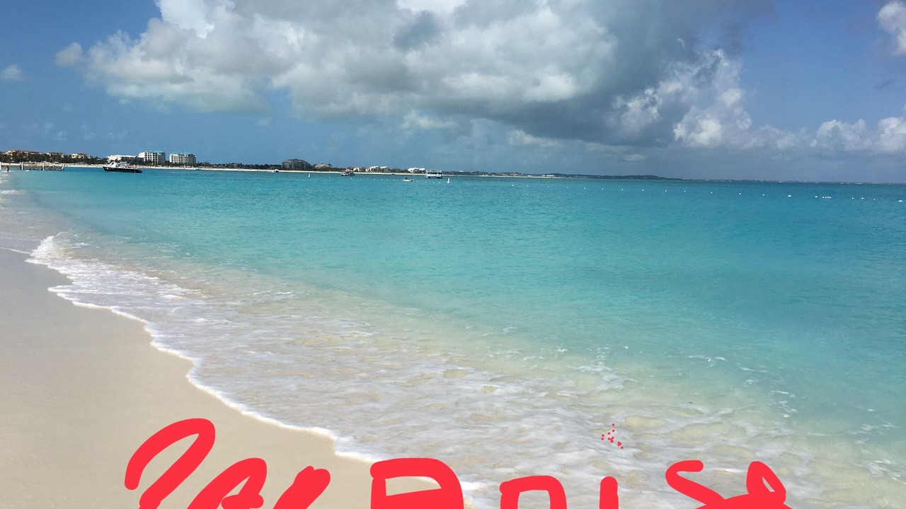 Photo of Others in The Bight