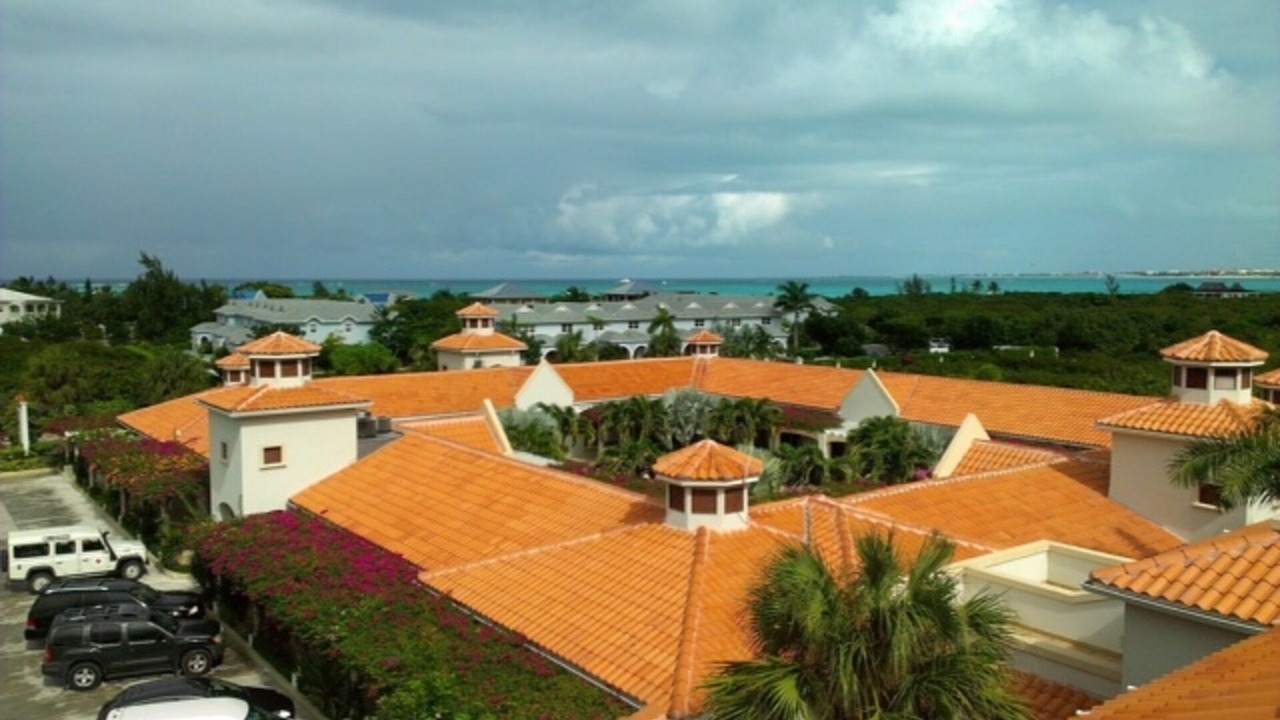 Photo of Others in The Bight
