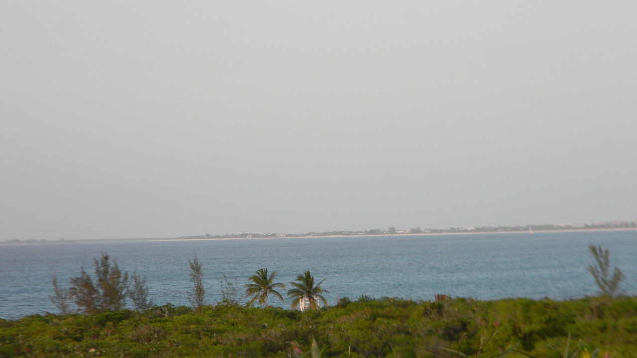 Photo of Others in The Bight