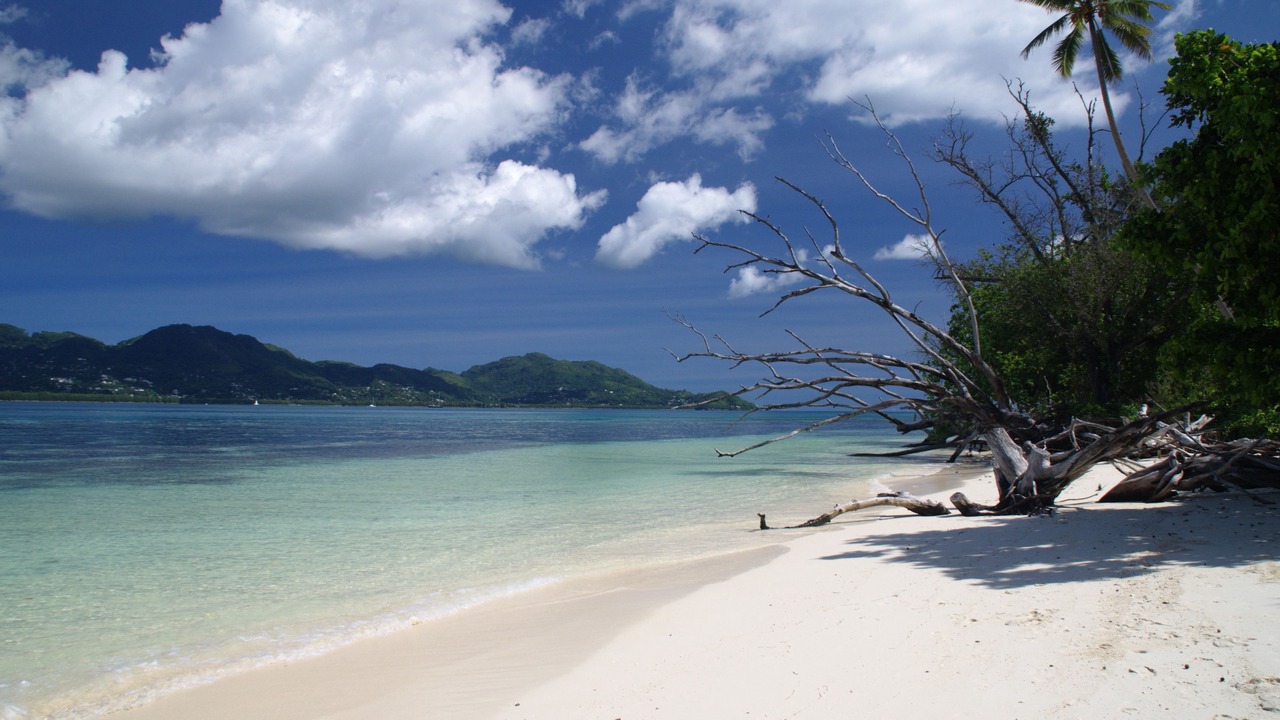 Photo of Others in Cerf Island