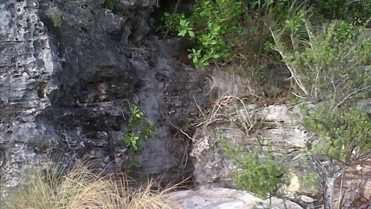 Photo of Outdoor in Ocean Point