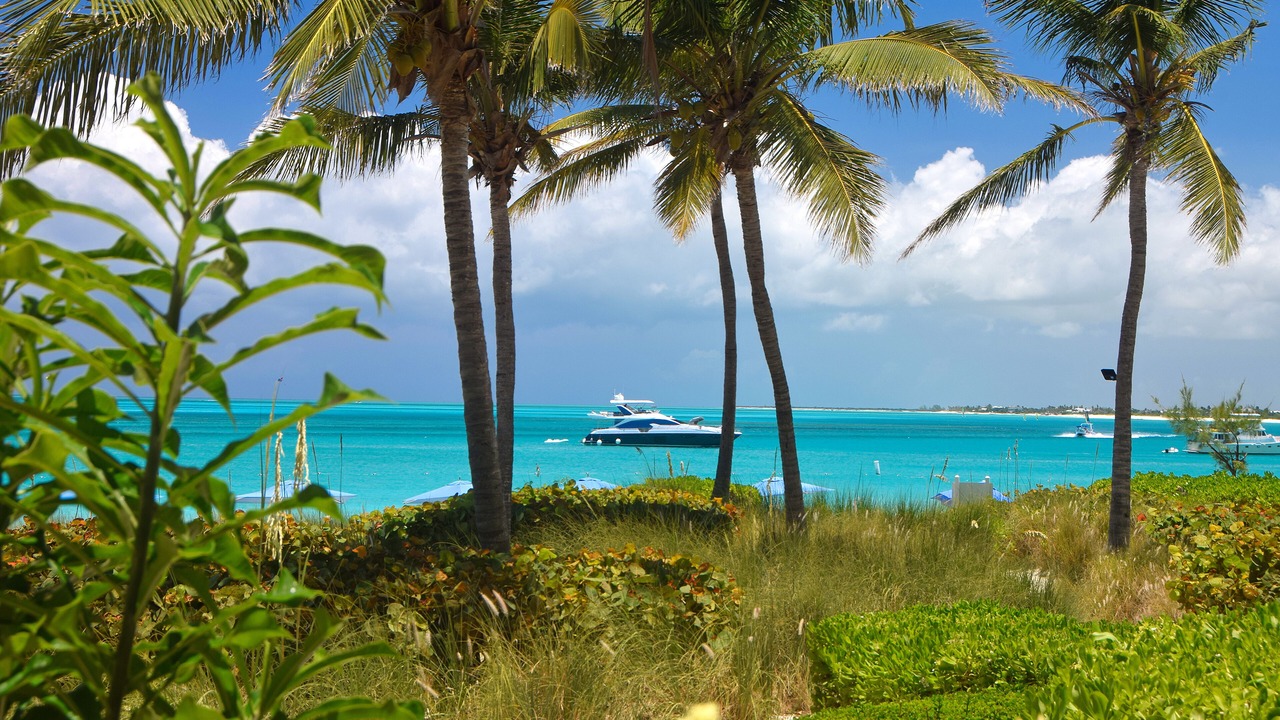 Photo of Others in Grace Bay