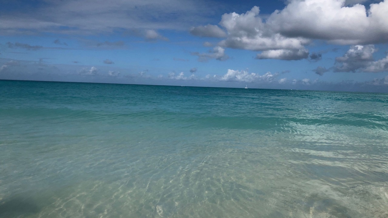 Photo of Others in Grace Bay