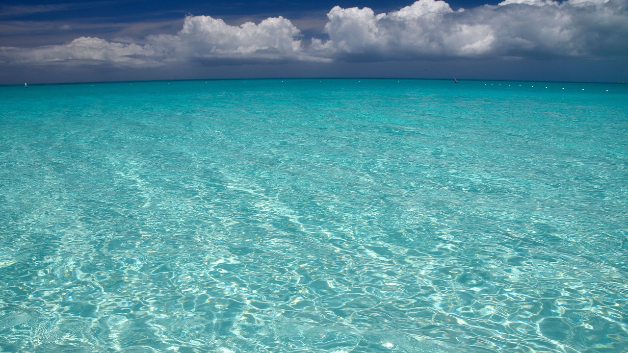 Photo of Others in Grace Bay