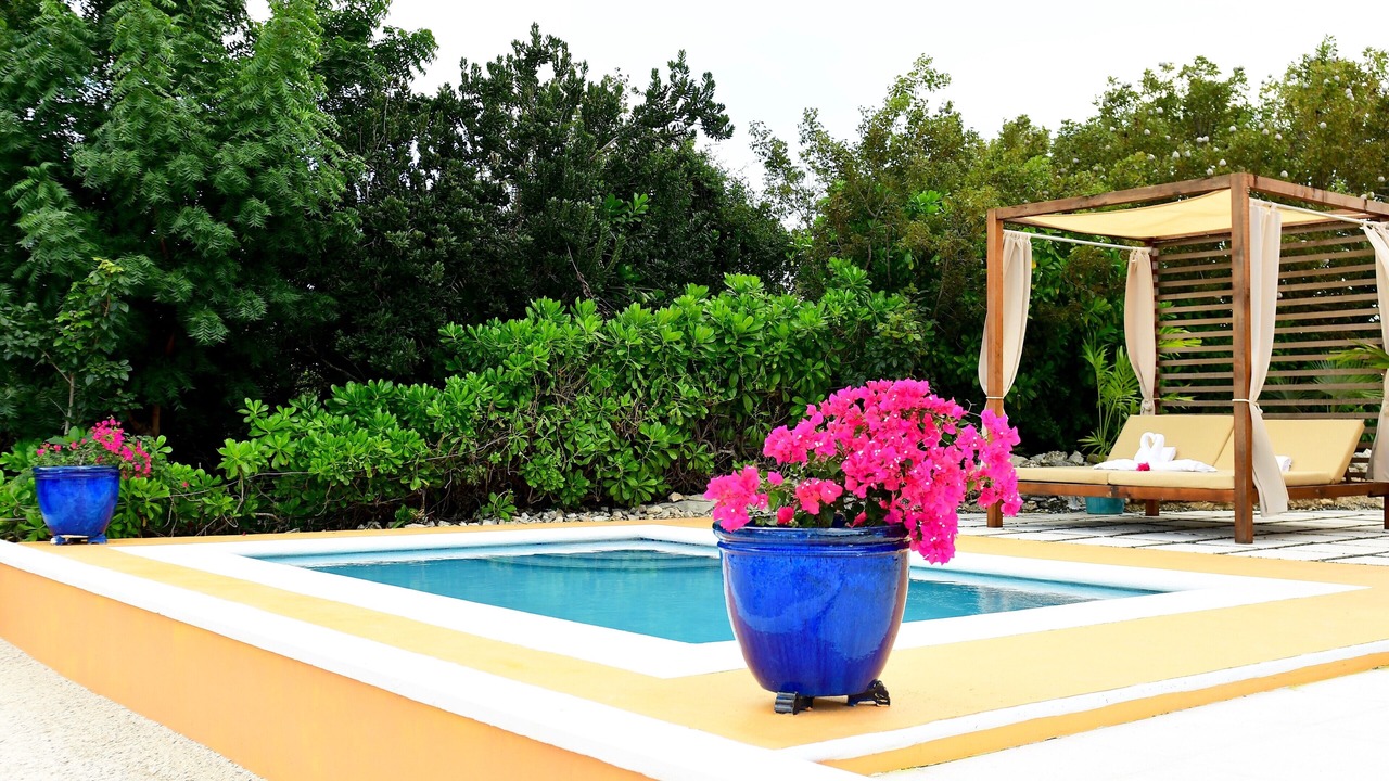 Photo of Outdoor in Discovery Bay