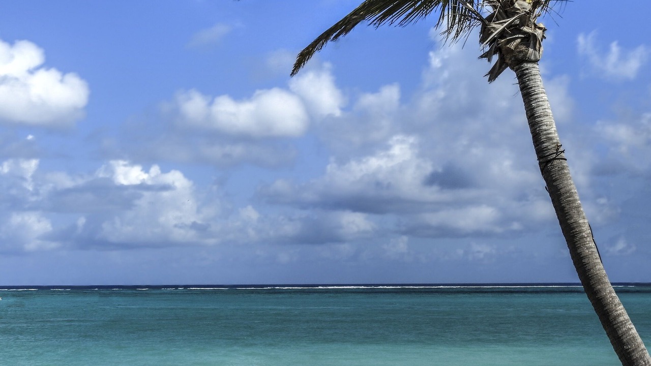 Photo of Others in The Bight