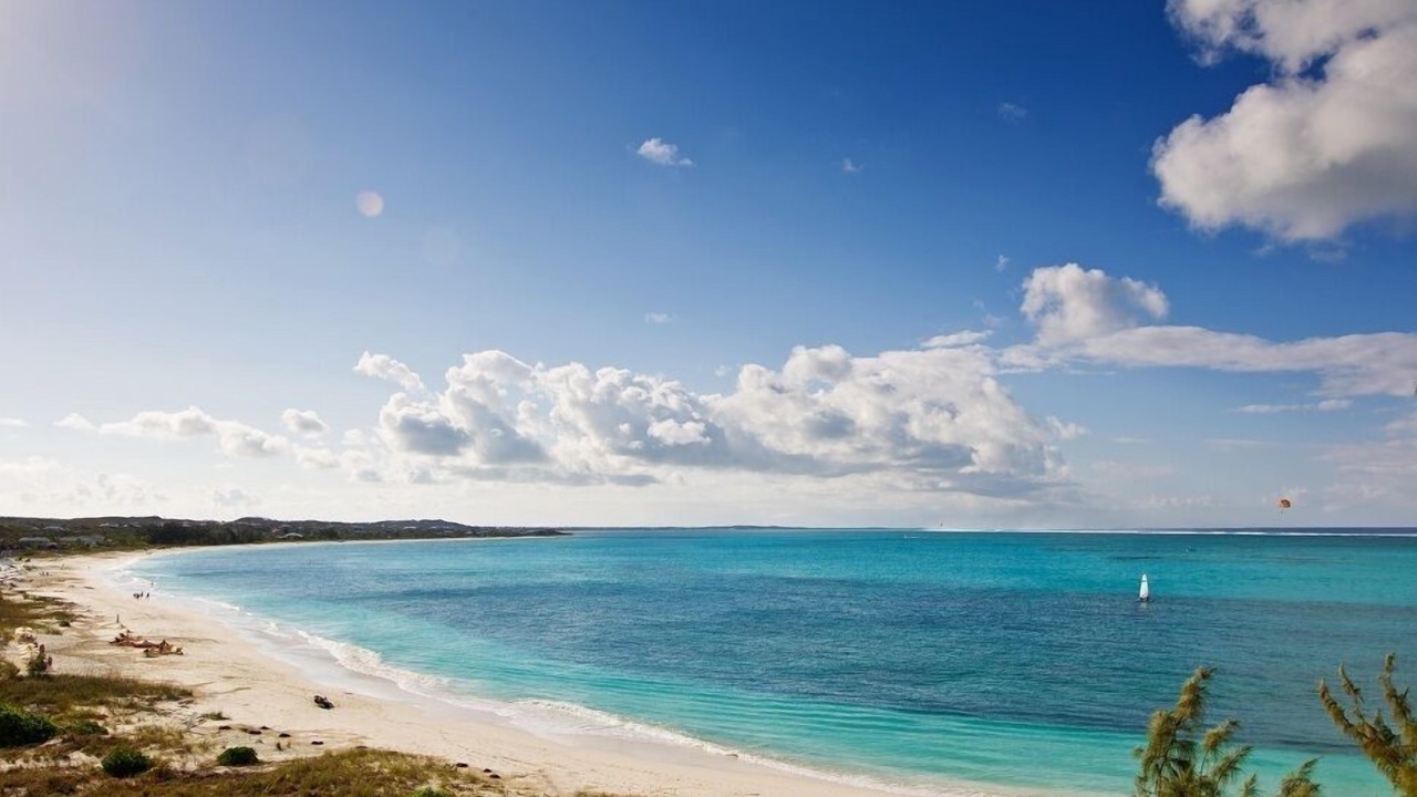 Photo of Others in The Bight