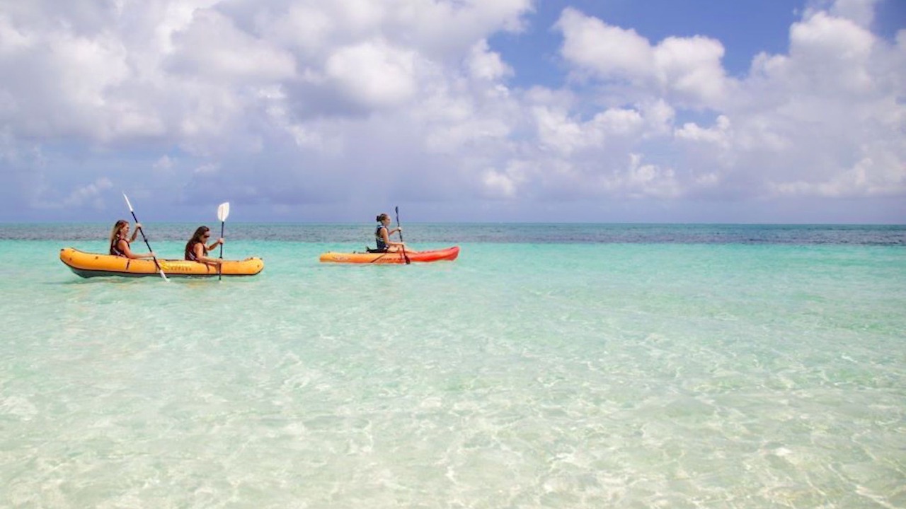 Photo of Others in The Bight
