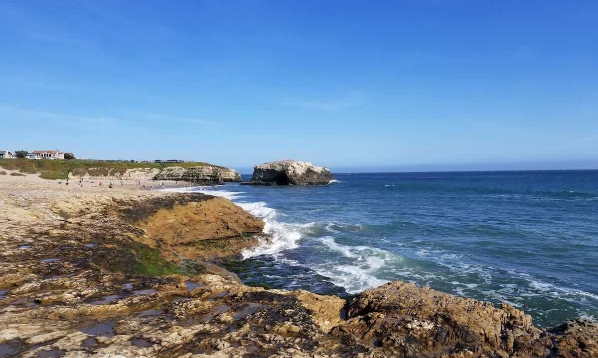 Photo of Others in Westside Santa Cruz