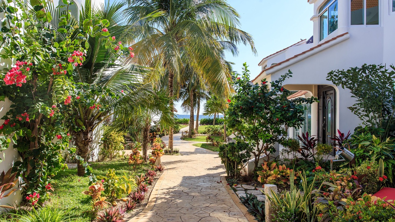 Photo of Others in Puerto Morelos