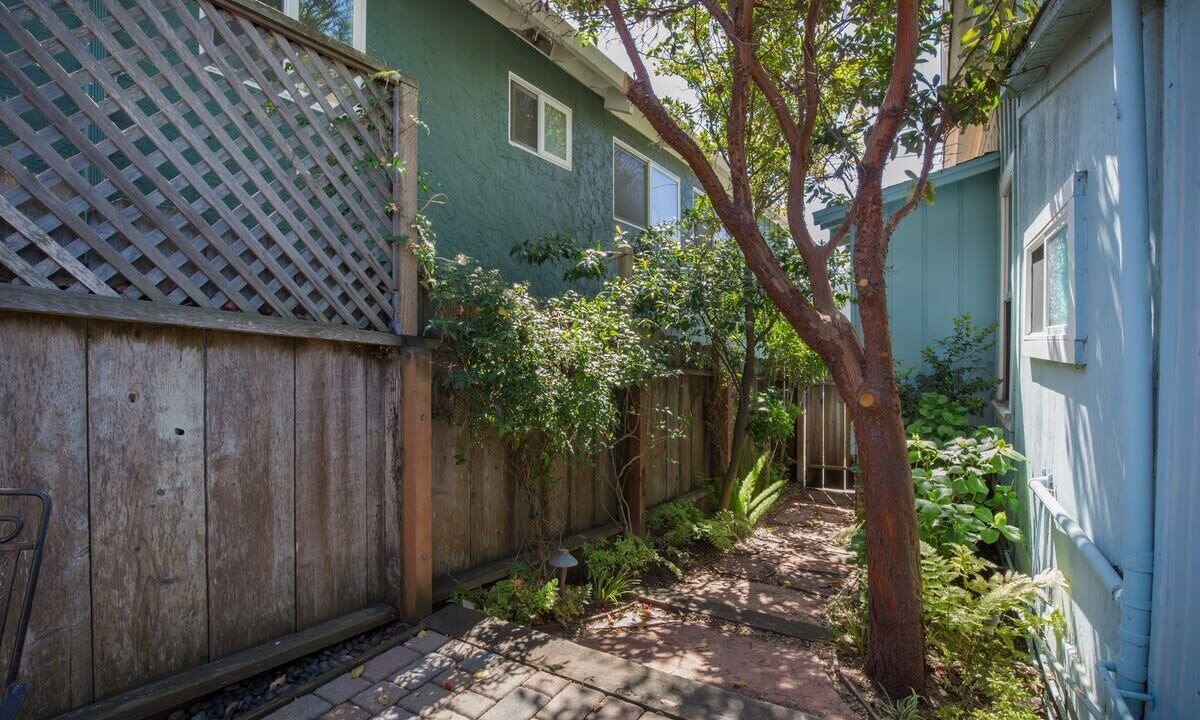 Photo of Outdoor in Seabright