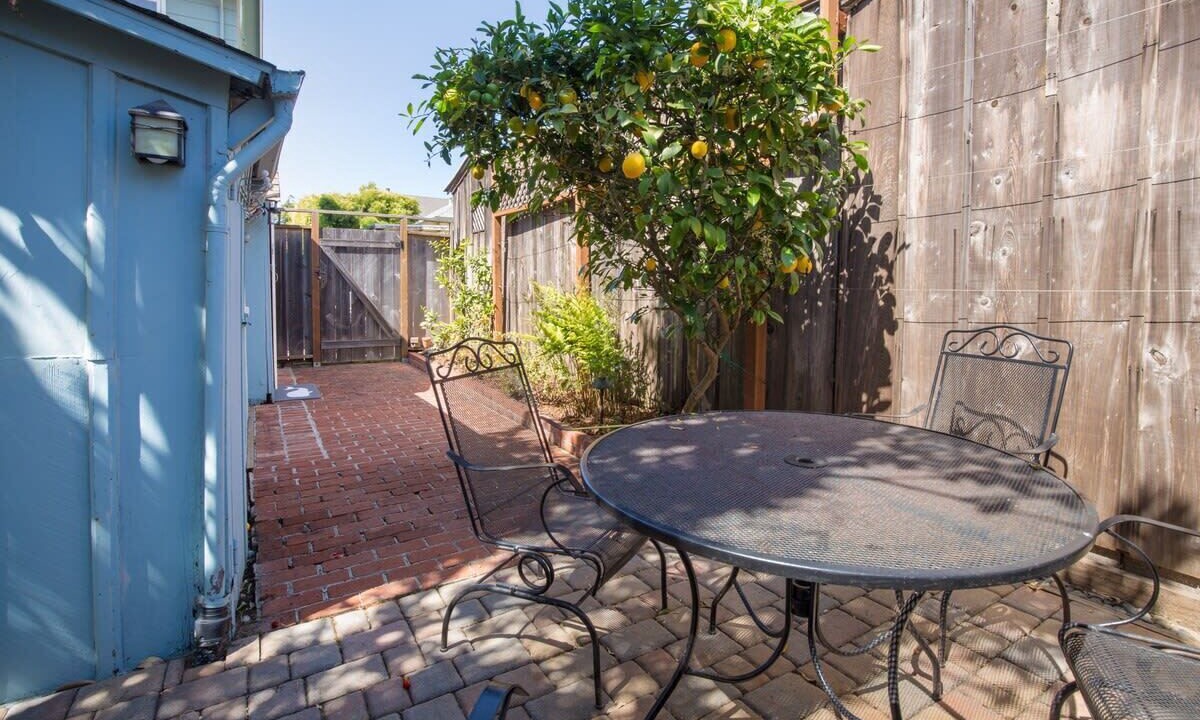 Photo of Outdoor in Seabright
