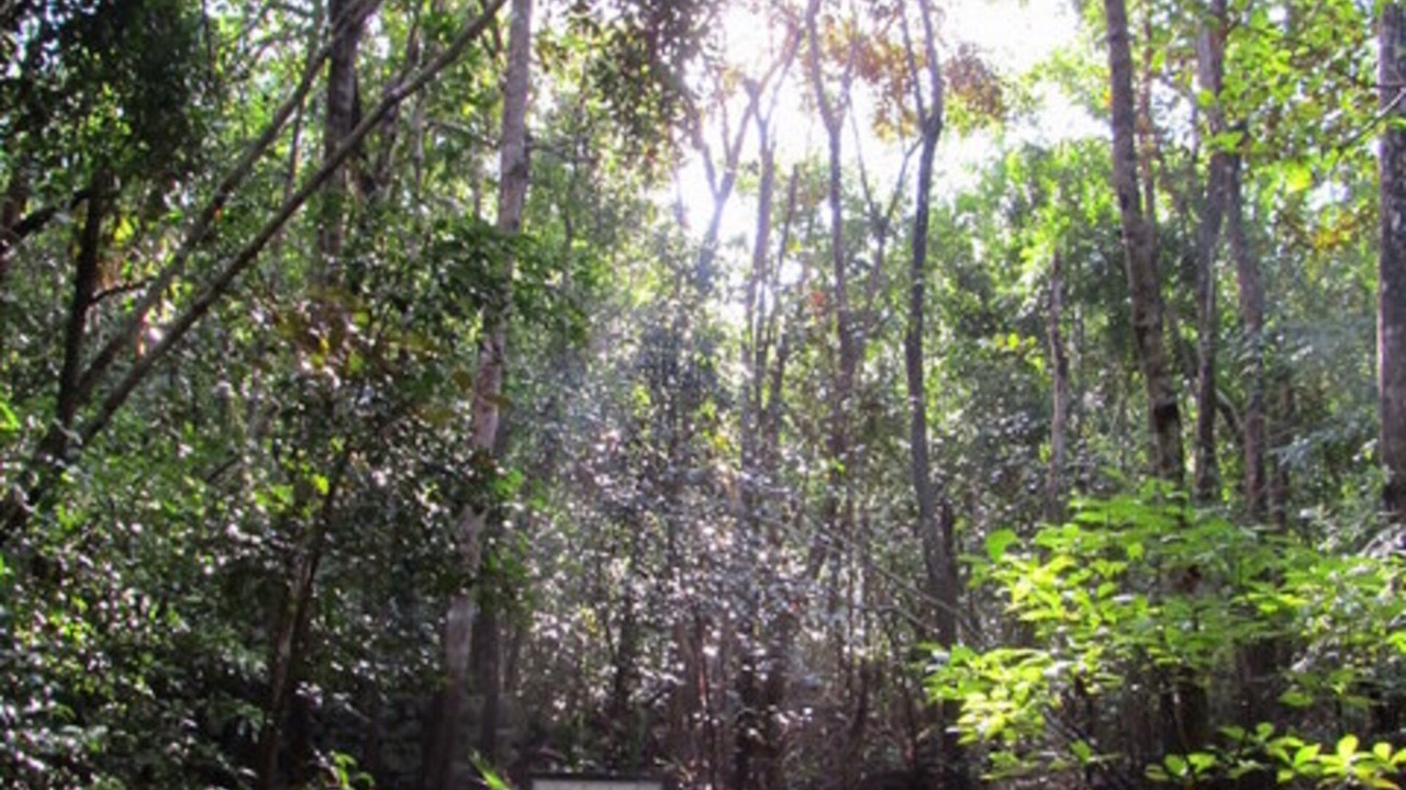 Photo of Others in Bottle Creek