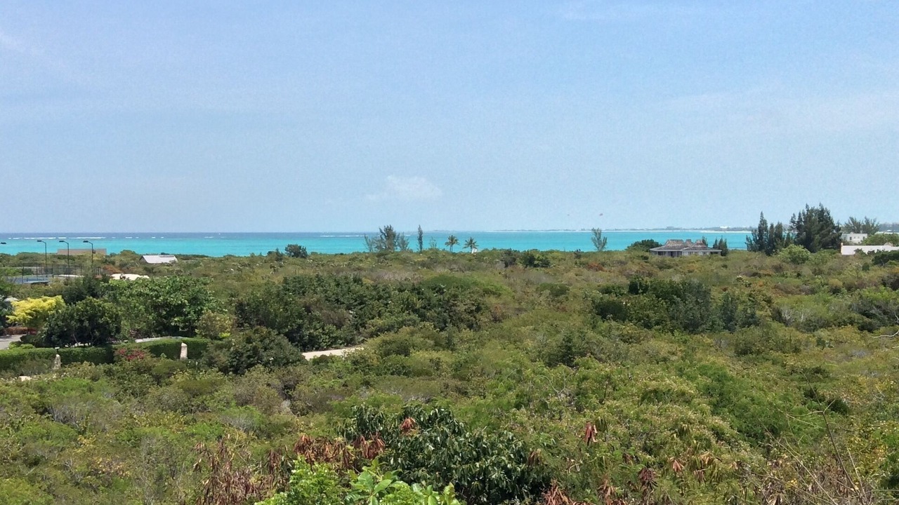 Photo of Others in The Bight