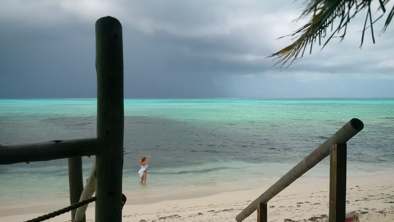 Photo of Others in The Bight
