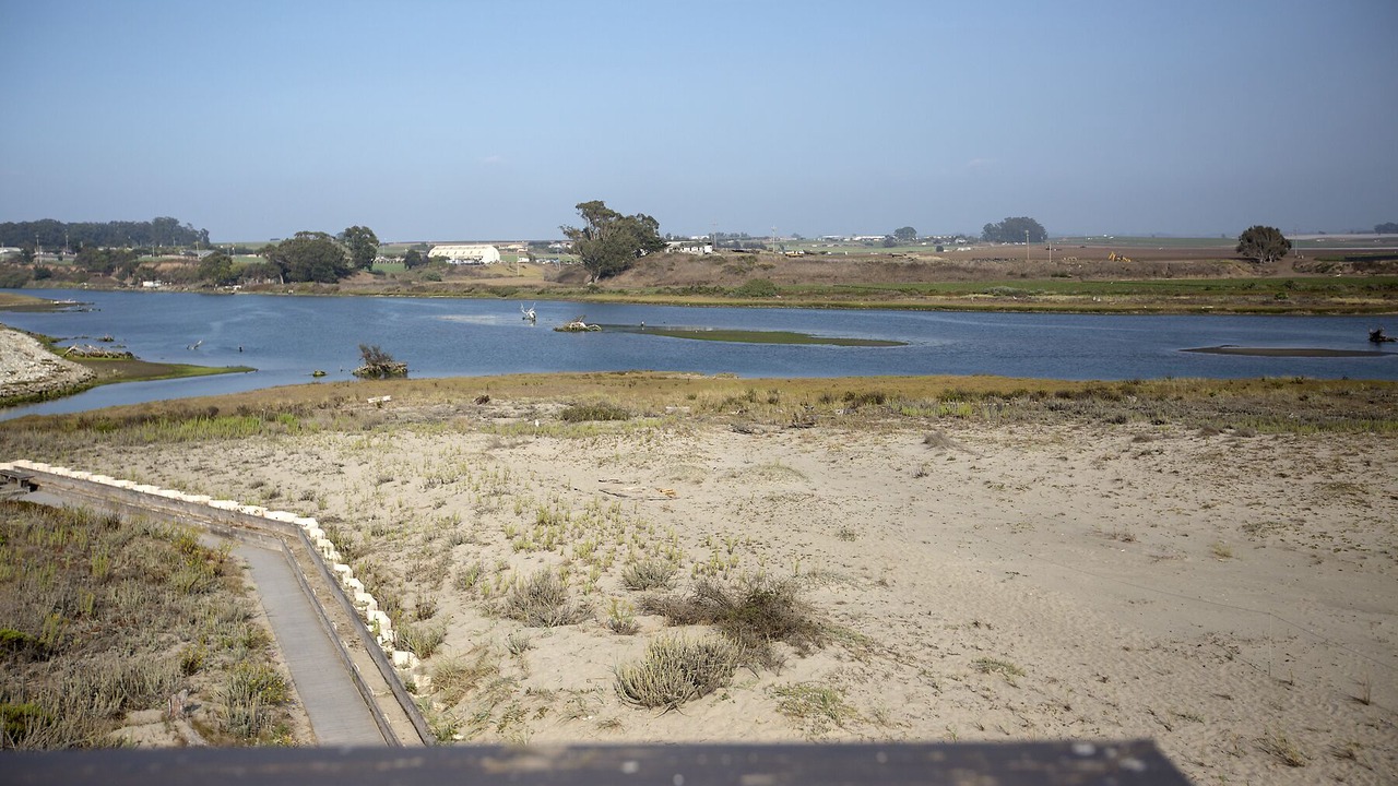 Photo of Others in Pajaro Dunes