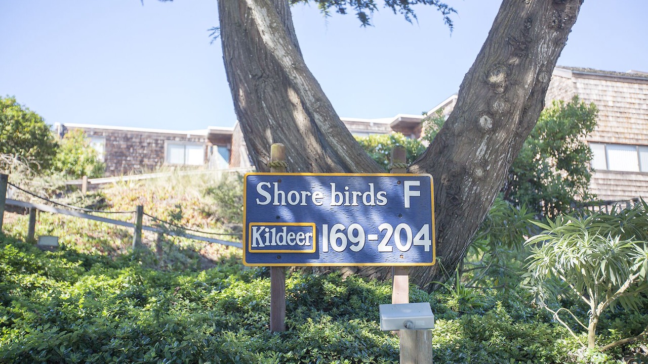 Photo of Outdoor in Pajaro Dunes