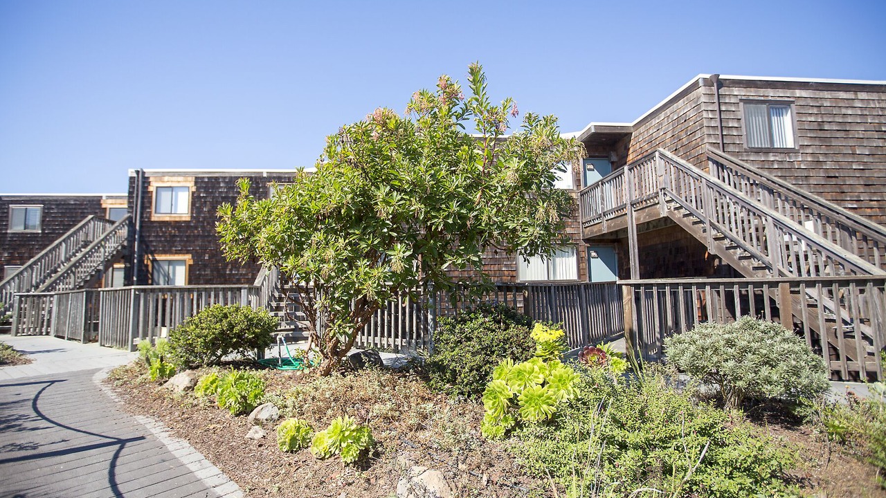 Photo of Outdoor in Pajaro Dunes