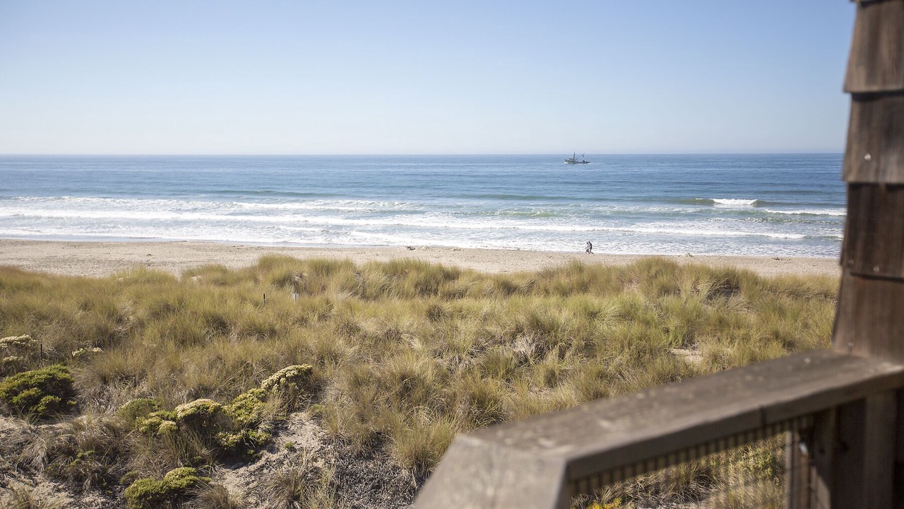 Photo of Others in Pajaro Dunes