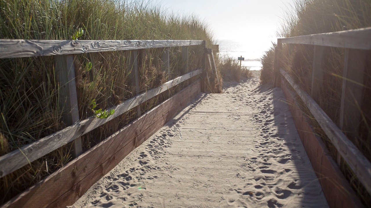 Photo of Others in Pajaro Dunes