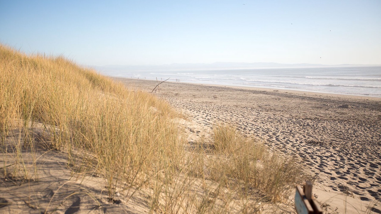 Photo of Others in Pajaro Dunes