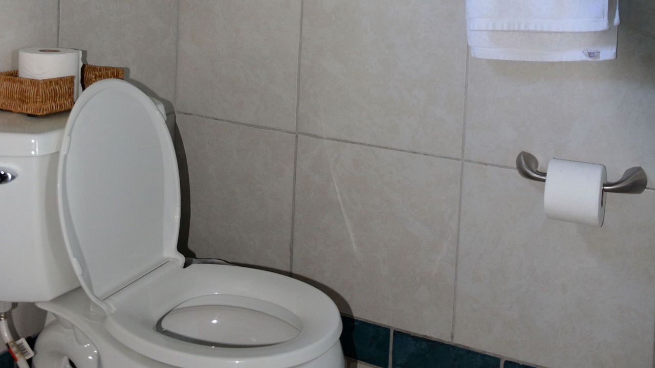 Photo of Bathroom in The Bight