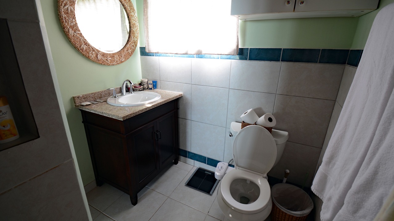 Photo of Bathroom in The Bight