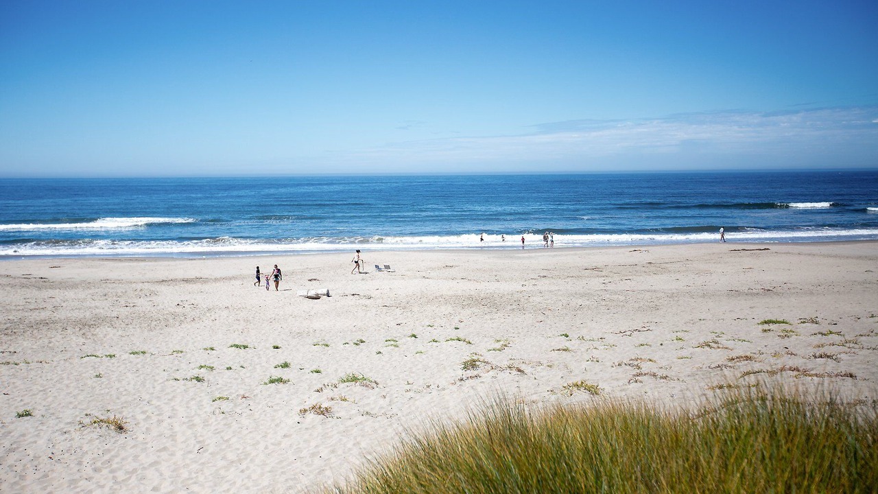 Photo of Others in Pajaro Dunes