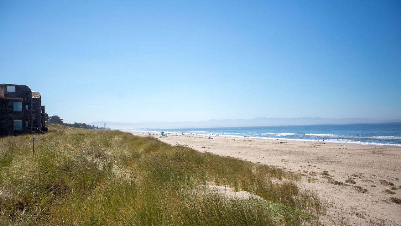 Photo of Others in Pajaro Dunes