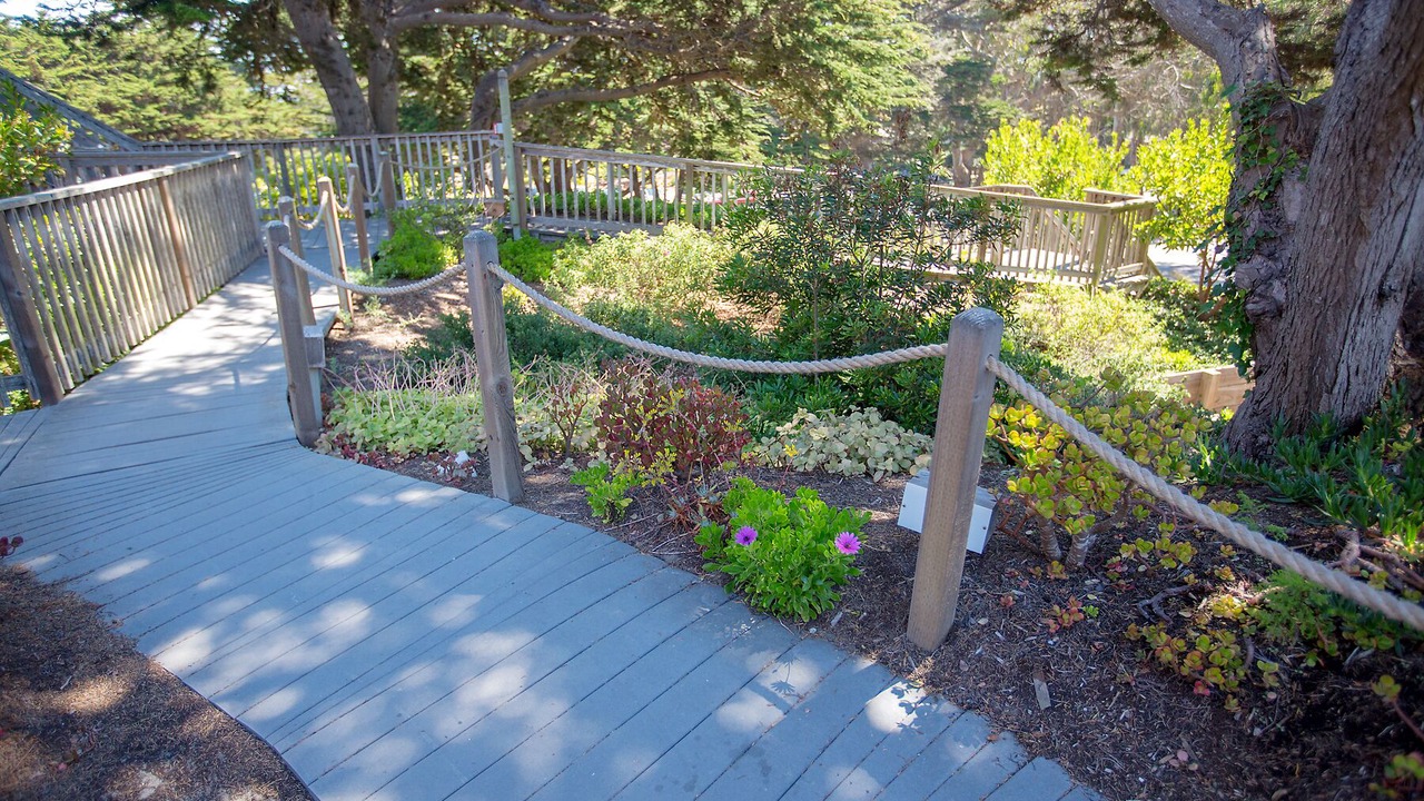 Photo of Outdoor in Pajaro Dunes