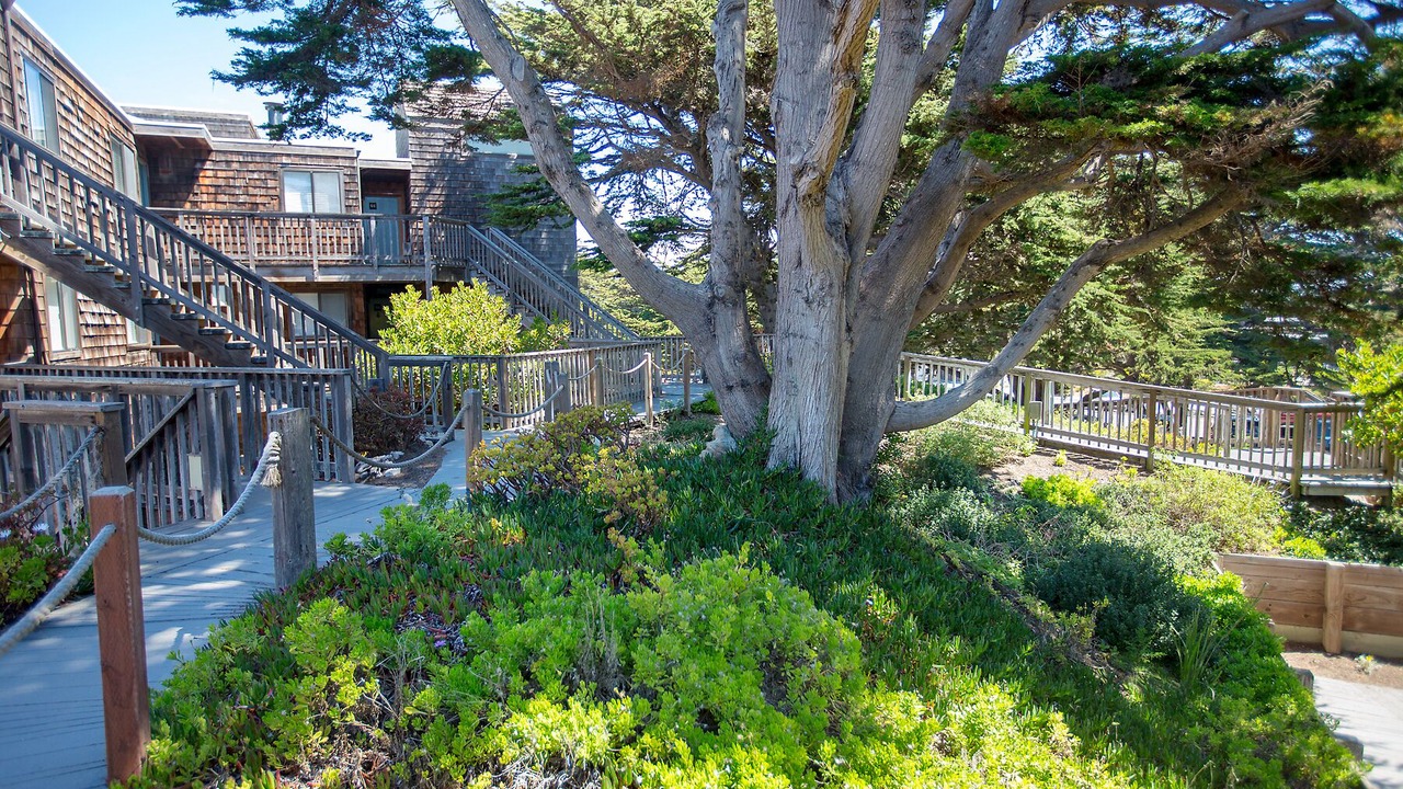 Photo of Outdoor in Pajaro Dunes