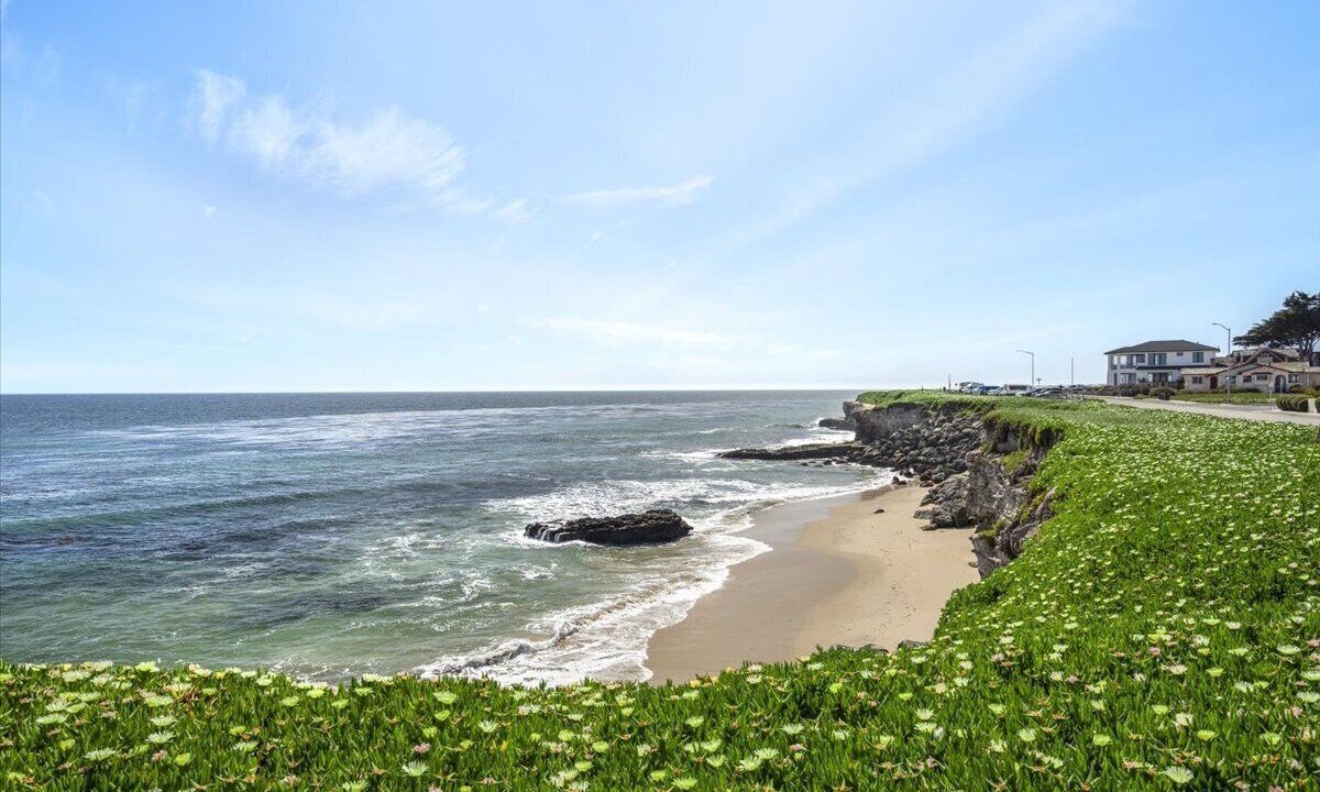 Photo of Others in Westside Santa Cruz