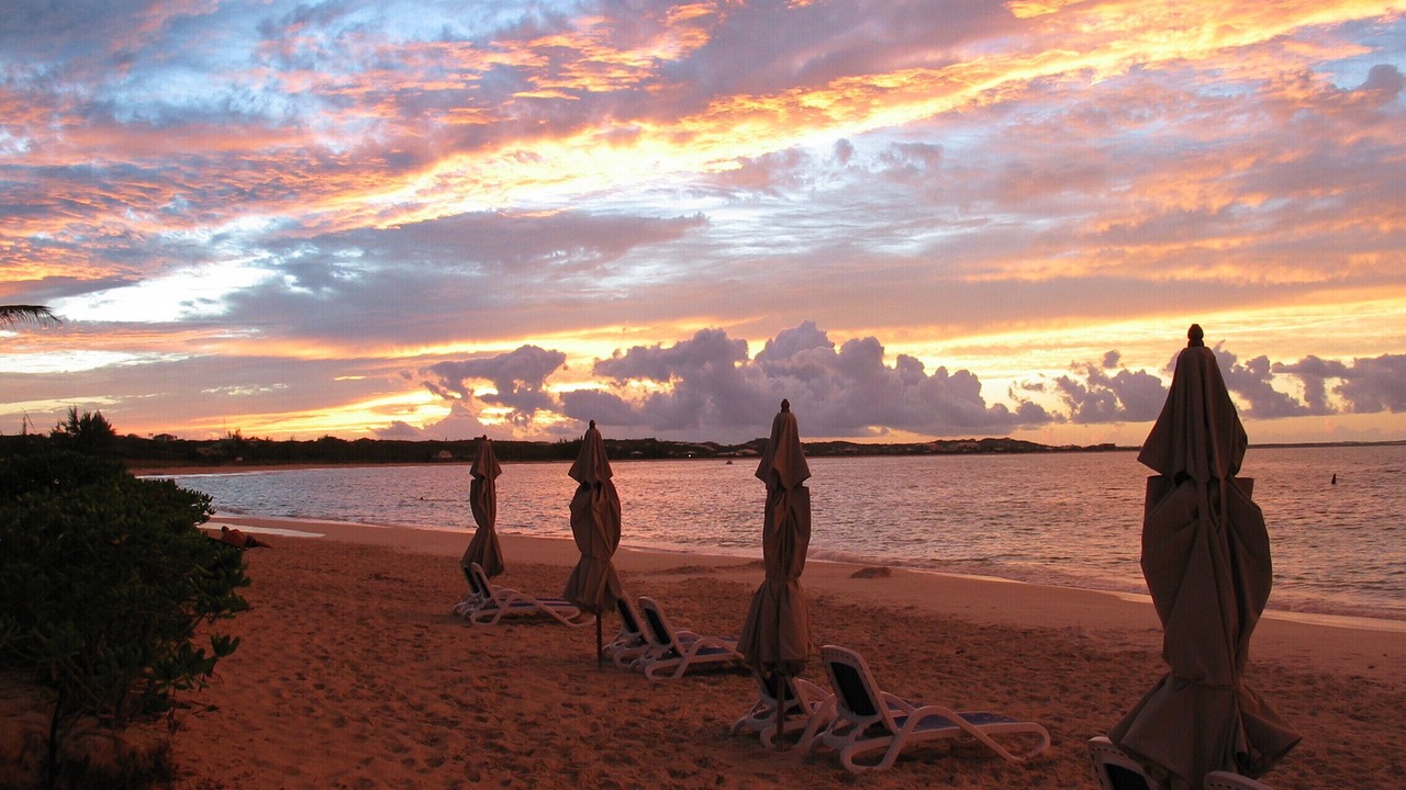 Photo of Others in The Bight