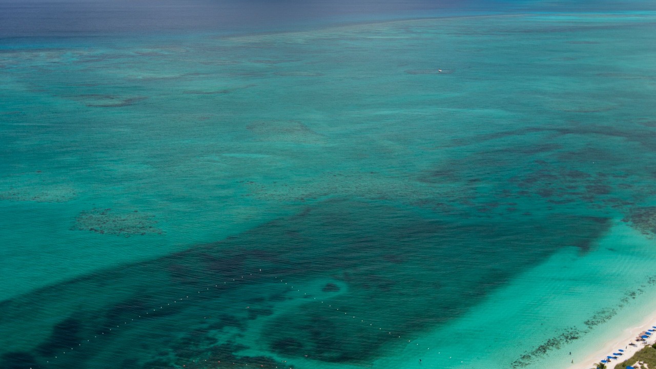 Photo of Others in The Bight