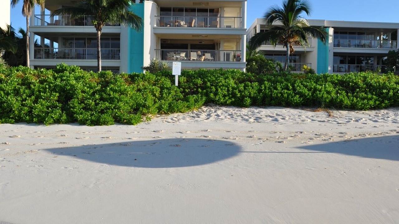 Photo of Outdoor in The Bight