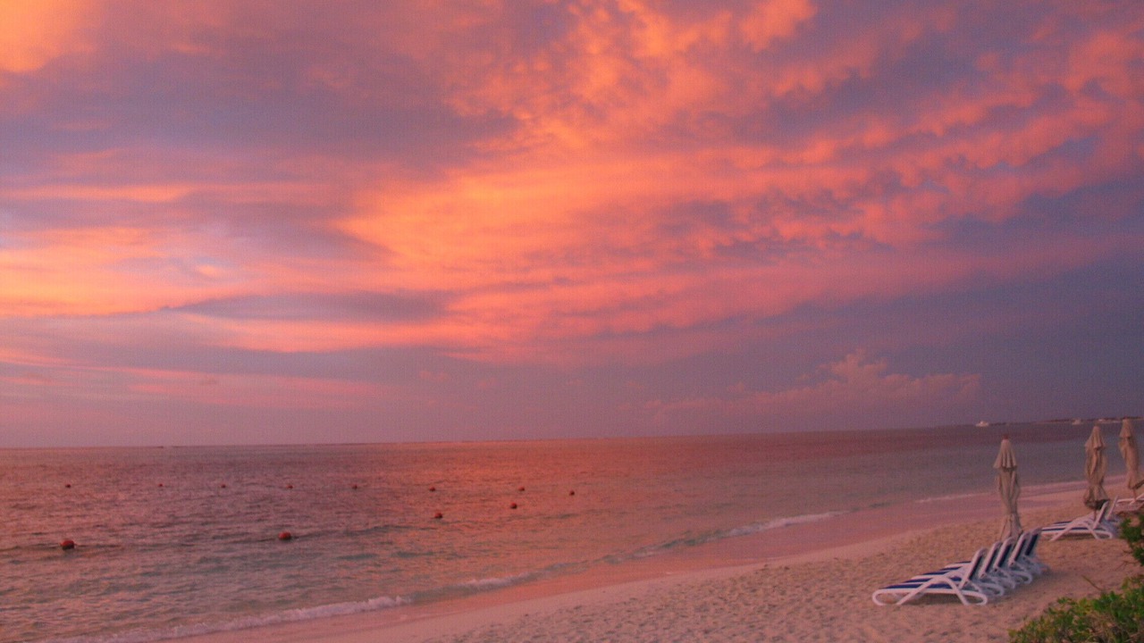 Photo of Others in The Bight