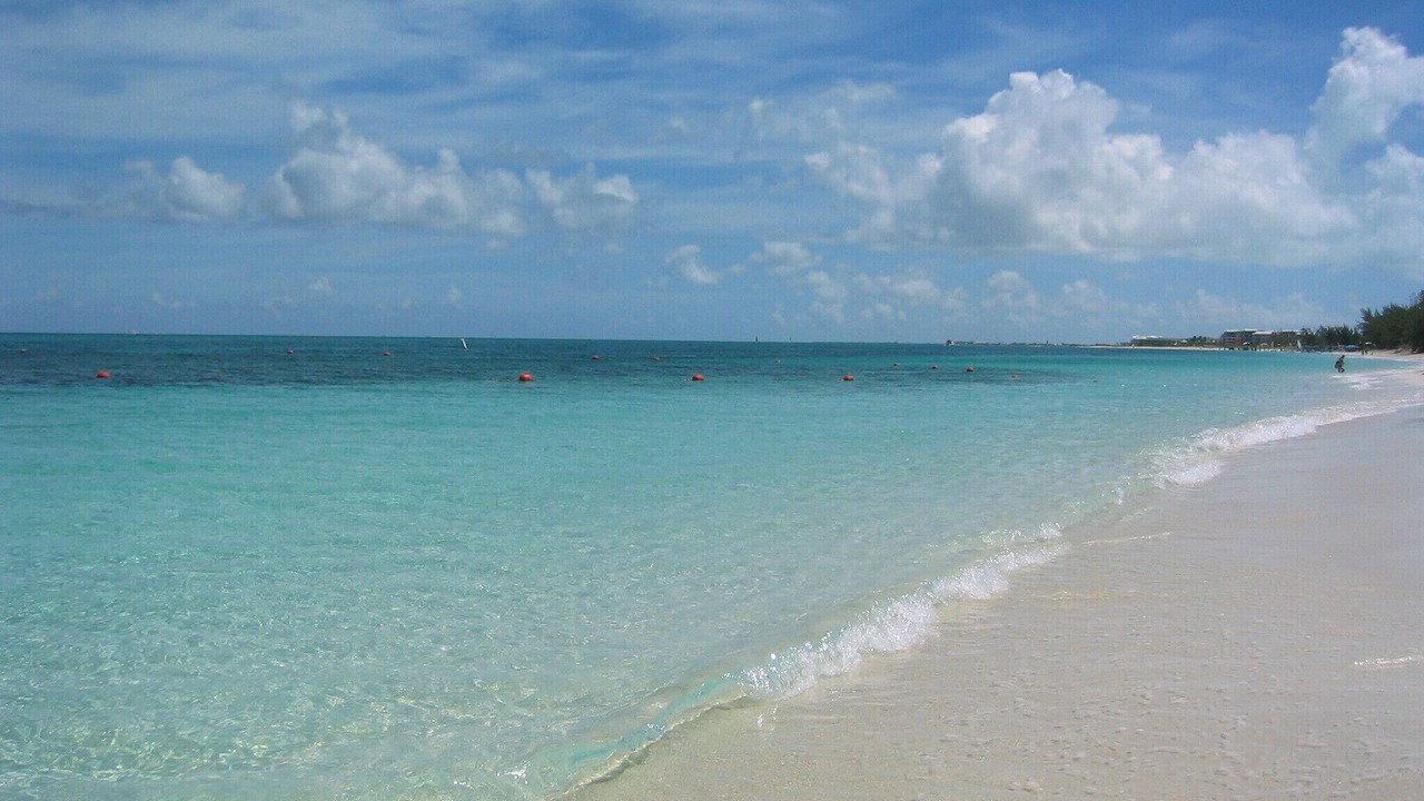 Photo of Others in The Bight
