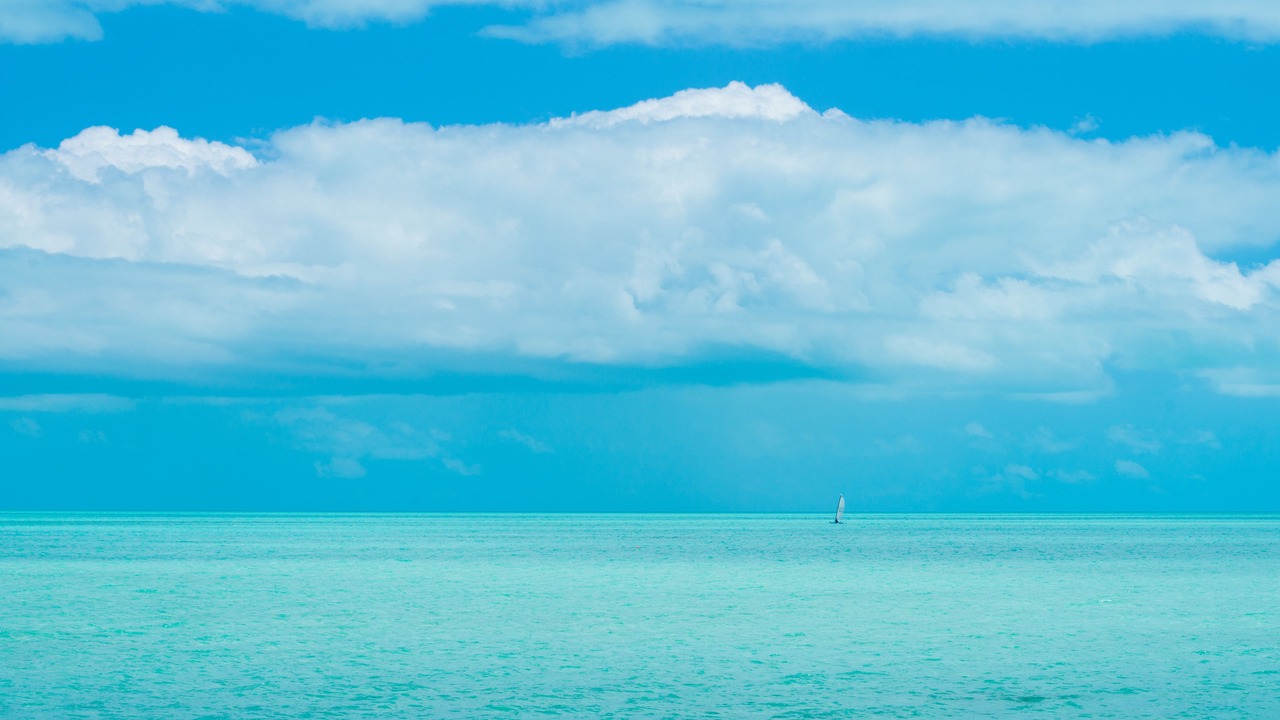 Photo of Others in Long Bay