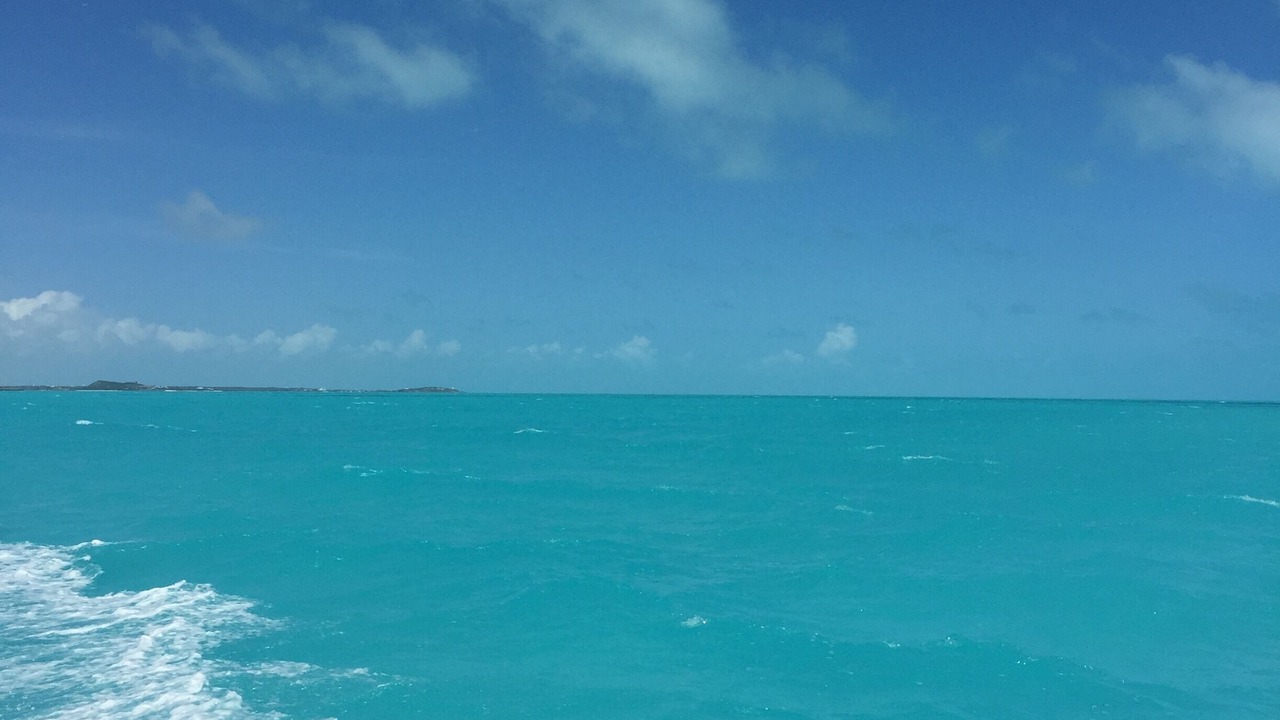 Photo of Others in Grace Bay