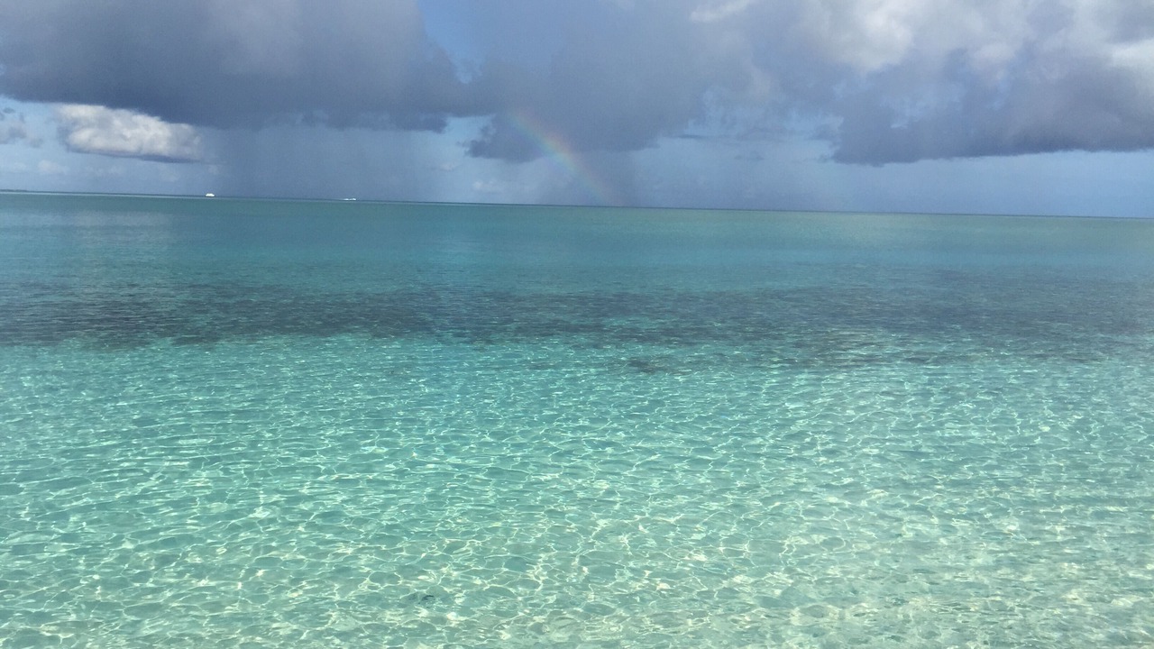 Photo of Others in Grace Bay