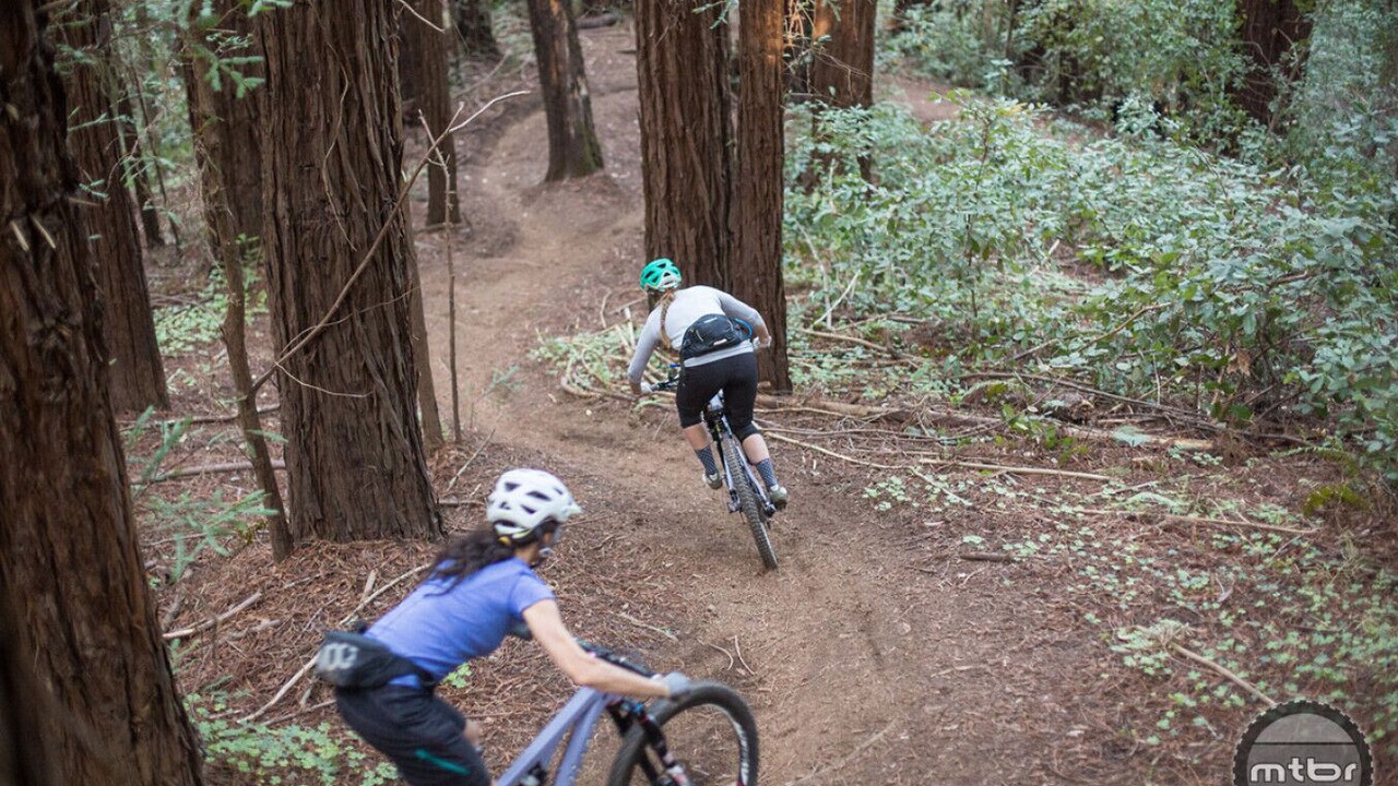 Photo of Outdoor in Westside Santa Cruz