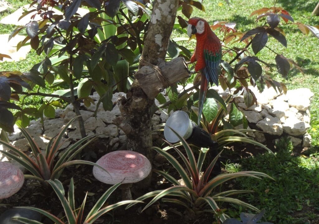 Photo of Outdoor in Kampial