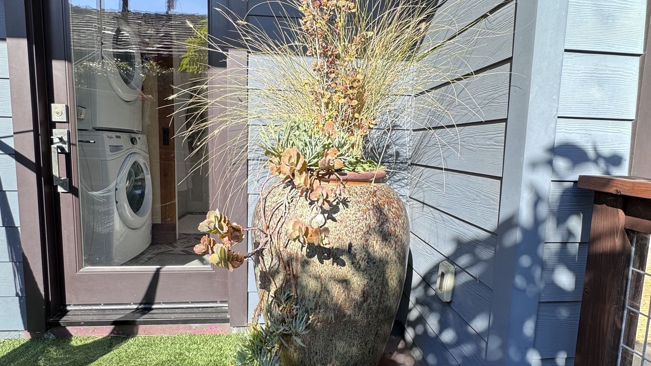 Photo of Outdoor in Westside Santa Cruz