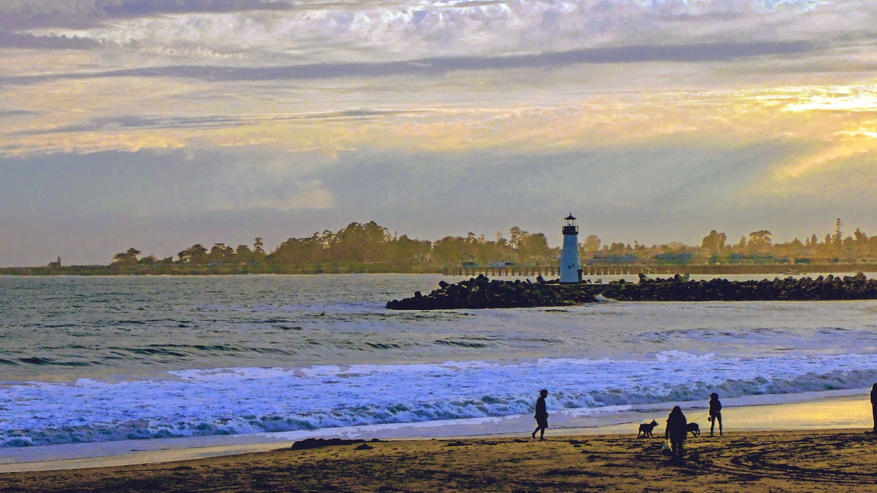 Photo of Others in Eastside Santa Cruz